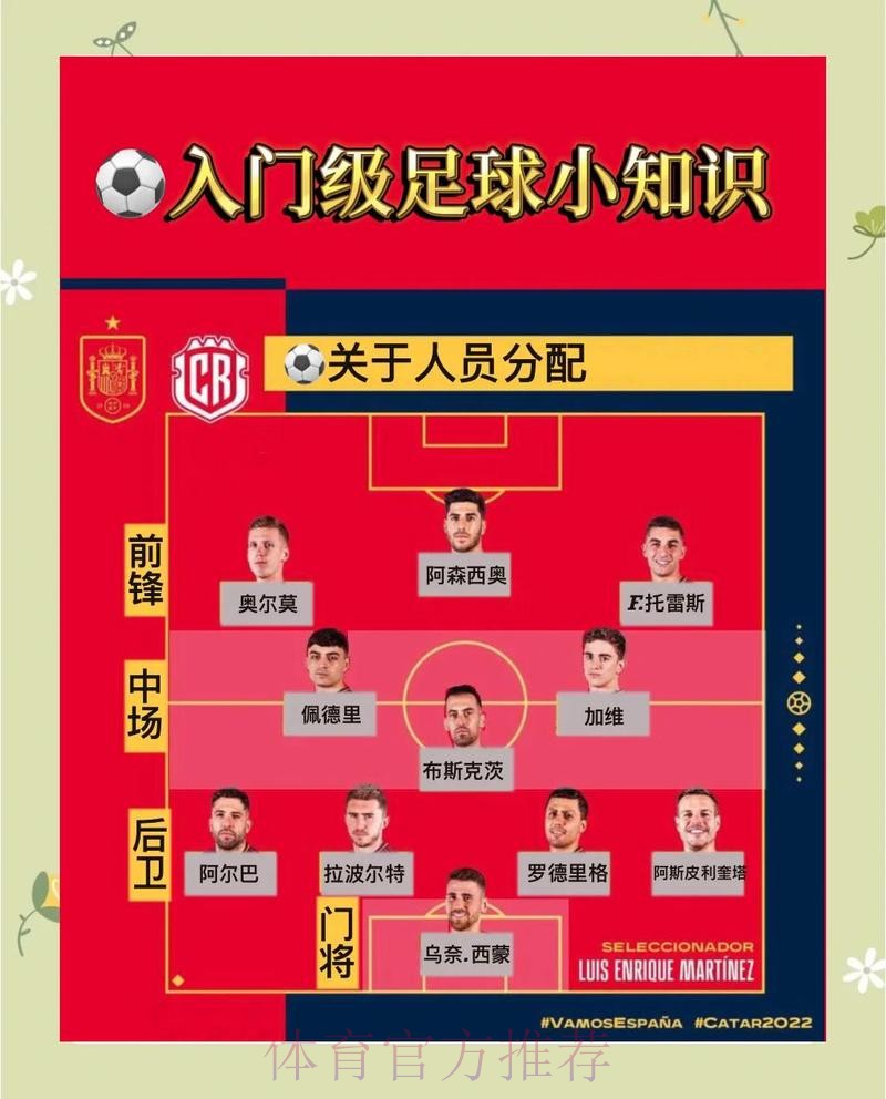 全面解读世界杯比分预测的策略与技巧