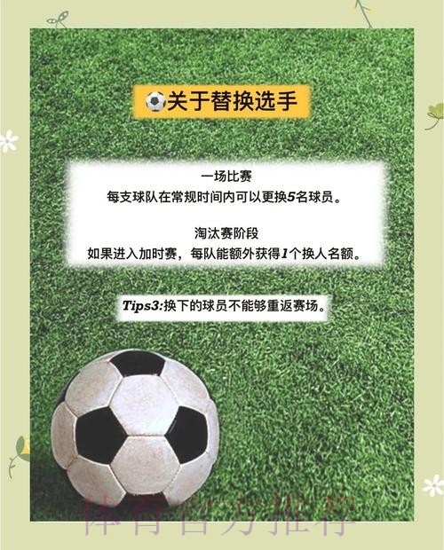 世界杯投注入口全景指南与策略